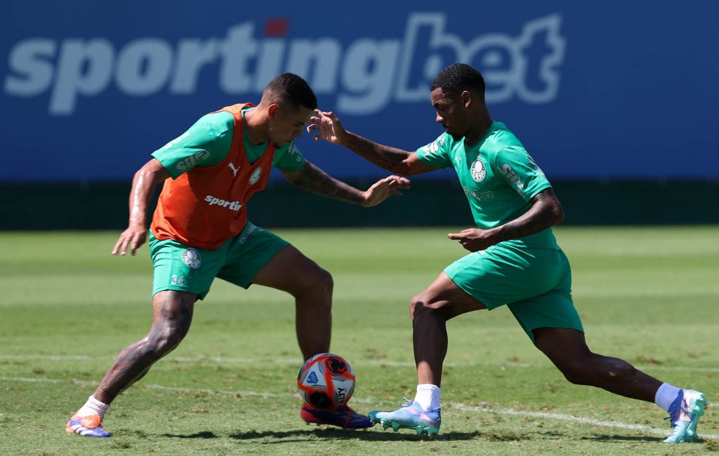 Naves. Foto: Cesar Greco/Palmeiras