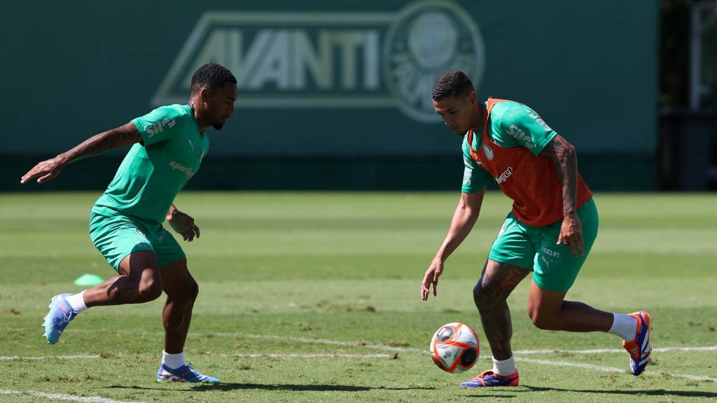 Naves de Abel. Foto: Cesar Greco/Palmeiras