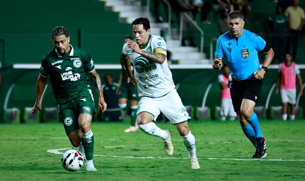 Rato Goiás